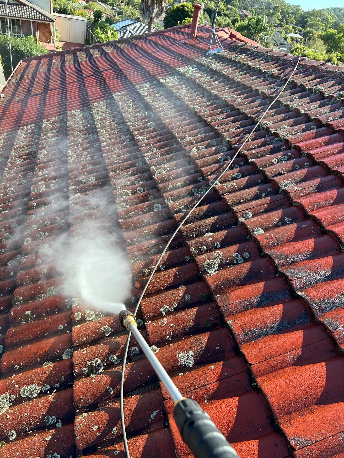 Terracotta tiled roof half pressure-cleaned, with a sharp line between dirty and clean tiles