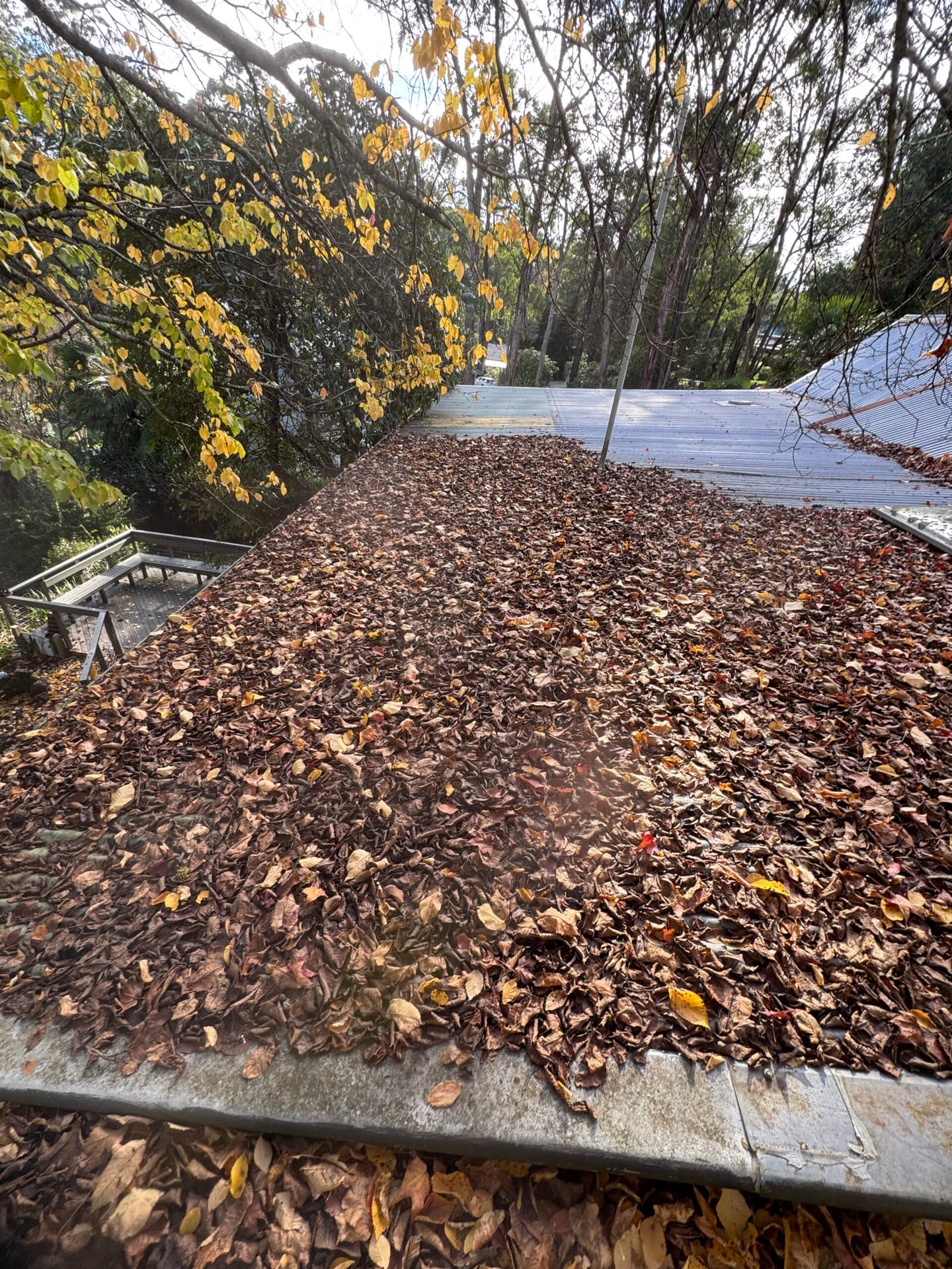 Corrugated metal roof buried in fallen leaves beside a wooden deck