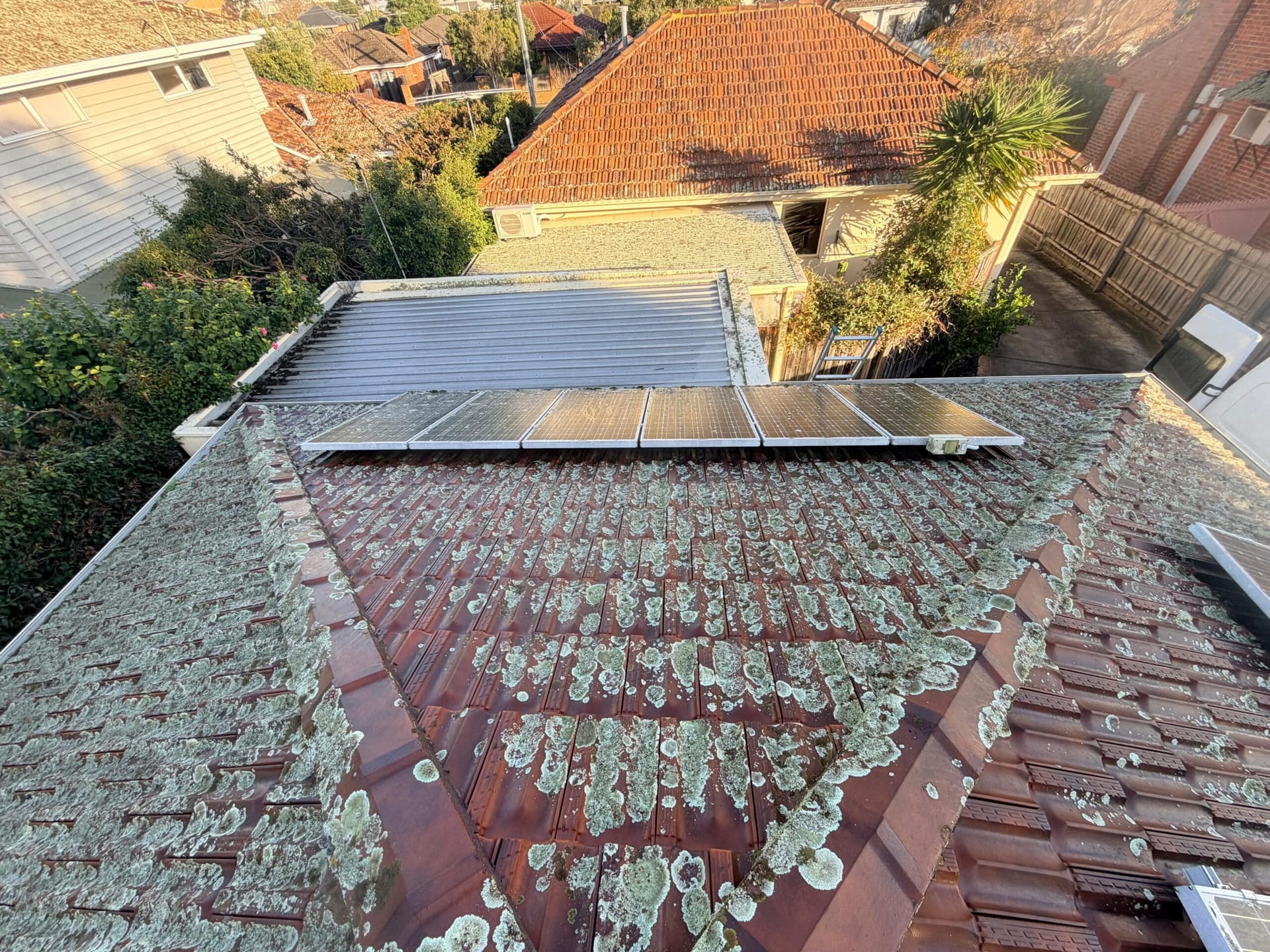 Terracotta roof with a ladder to the eaves and a work van parked at the house